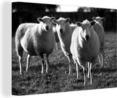 Canvas Schilderij Schaapskudde in weiland - zwart wit - 120x80 cm - Wanddecoratie