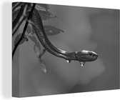 Tableau Peinture Serpent de près - noir et blanc - 90x60 cm - Décoration murale