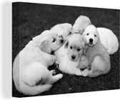 Canvas Schilderij Puppy's in het gras - zwart wit - 60x40 cm - Wanddecoratie