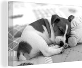 Canvas Schilderij Jack russel puppy op deken - zwart wit - 30x20 cm - Wanddecoratie