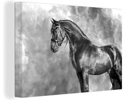 Canvas schilderij 180x120 cm - Wanddecoratie Fries - Paarden - Portret - Zwart - Wit - Muurdecoratie woonkamer - Slaapkamer decoratie - Kamer accessoires - Schilderijen