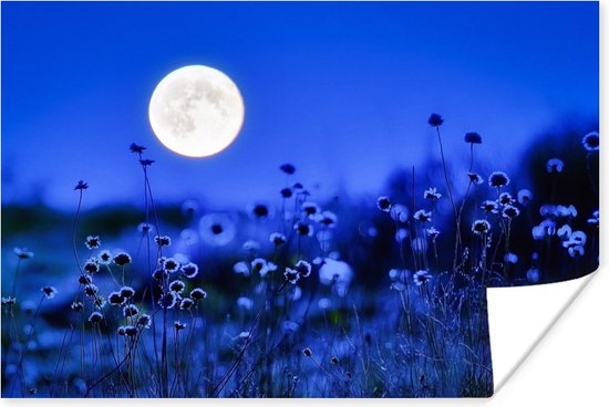 Volle maan met bloemen poster 90x60 cm - Foto print op Poster (wanddecoratie woonkamer / slaapkamer) / Nacht Poster