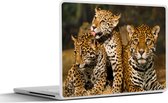 Laptop sticker - 15.6 inch - Luipaard - Wilde dieren - Natuur - 36x27,5cm - Laptopstickers - Laptop skin - Cover