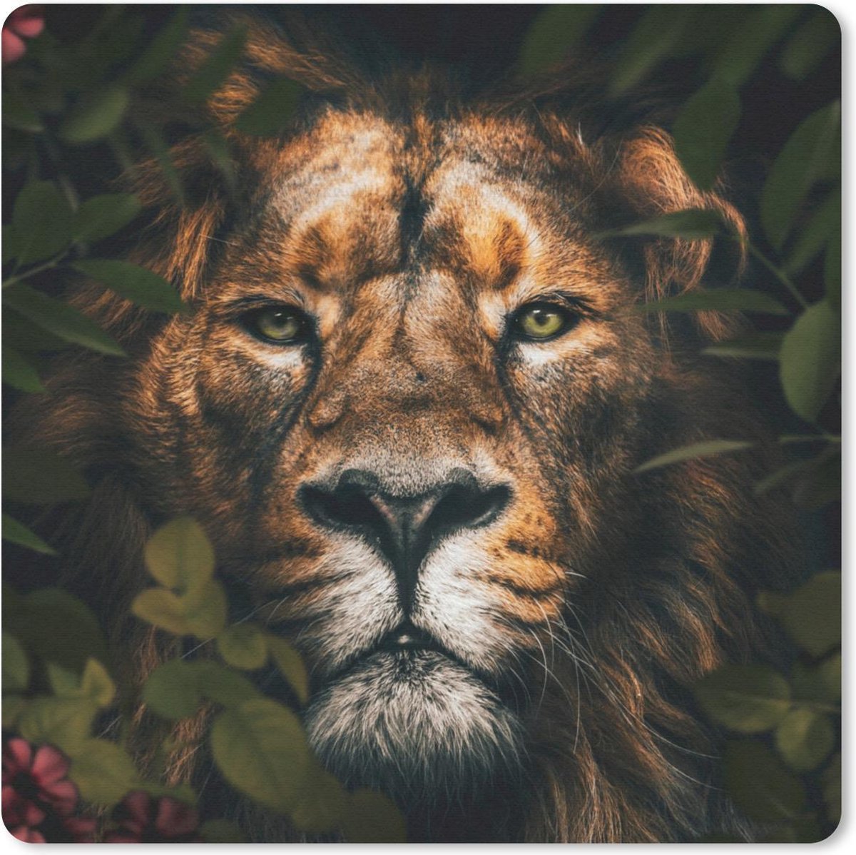 Muismat 20x20 cm - Mousepad Leeuw - Dieren - Jungle - Muismatten