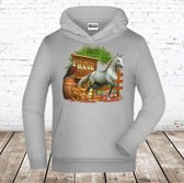 Lichtgrijze hoodie met paard -James & Nicholson-122/128-Hoodie meisjes