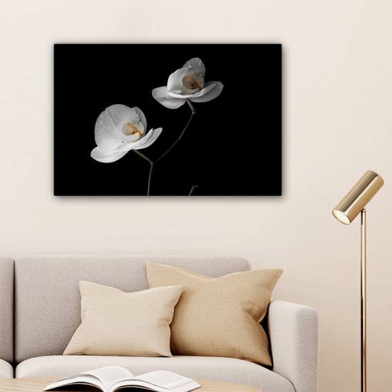 Tableau sur toile Orchidée - Fleurs - Zwart - Wit - Nature morte - 60x40 cm - Décoration murale