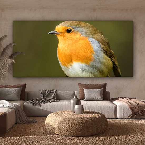 Tableau sur Toile Robin - Branche - Printemps - 160x80 cm - Décoration murale