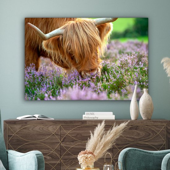 Close-up highlander écossais sent la toile de bruyère violette 2cm