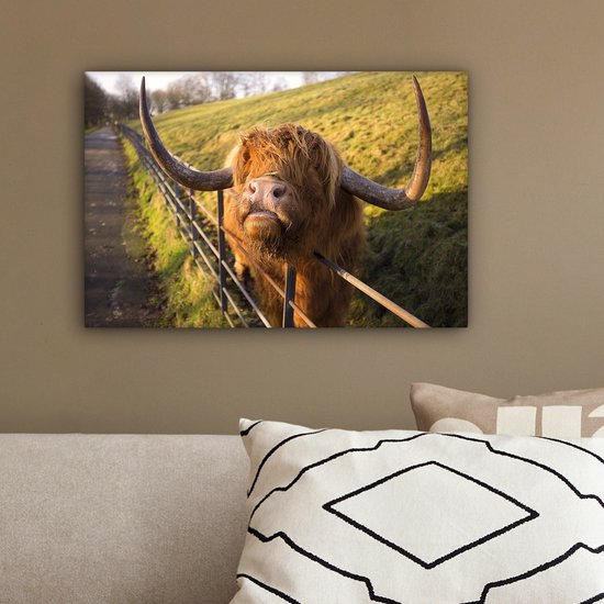 Peinture sur toile Highlander écossais - Clôture - Herbe - 30x20 cm - Décoration murale