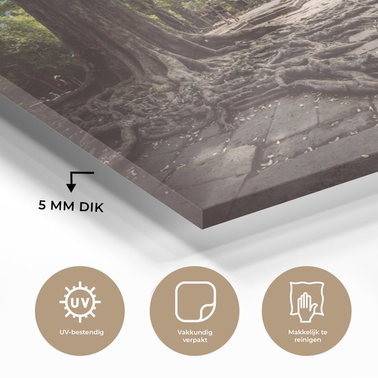 MuchoWow® Peinture sur verre 90x60 cm - Peinture acrylique sur verre - Temple d'Angkor Wat, Cambodge - Photo sur verre - Peintures