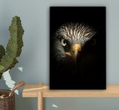 Canvas Schilderij Vogel - Adelaar - Roofvogels - Oog - Snavel - Licht - 20x30 cm - Wanddecoratie
