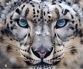 Peinture de diamants Tête du léopard des neiges Peinture de diamants 25x30cm. DP Couverture totale - Pierres rondes - peinture au diamant avec outils