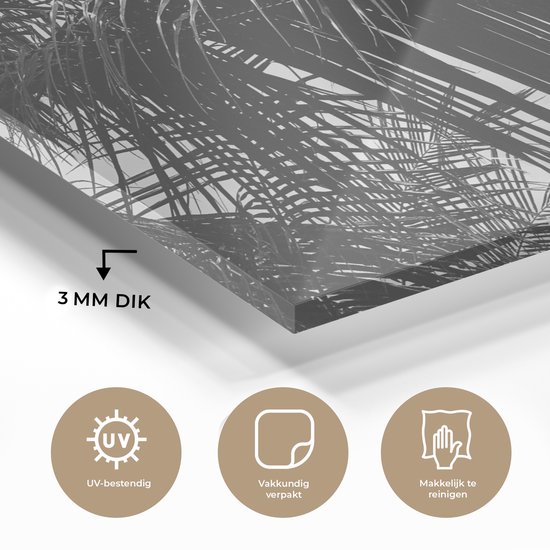 MuchoWow® Peinture sur verre 60x40 cm - Peinture sur verre acrylique - Feuilles de palmier - Nature - Vintage - Palmier - Photo sur verre - Peintures