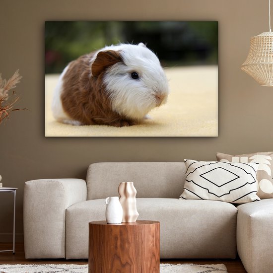 Peinture sur toile Jeune cochon d'Inde - 140x90 cm - Décoration murale