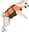 Witte hond met een oranje zwemvest springt in de lucht.