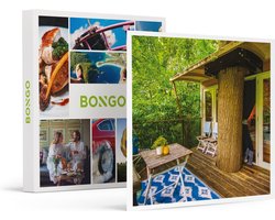 Bongo Bon -2 Romantische Dagen In Een Boomhut In Lelystad- Cadeaukaart