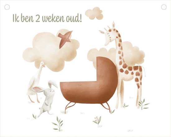 Mijn grote mijlpalenboek