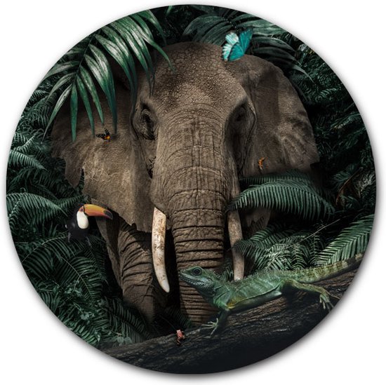 Wandcirkel Olifant in de Jungle met kleurrijke vogels - WallCatcher | Acrylglas 40 cm | Rond schilderij | Muurcirkel Jungle Elephant