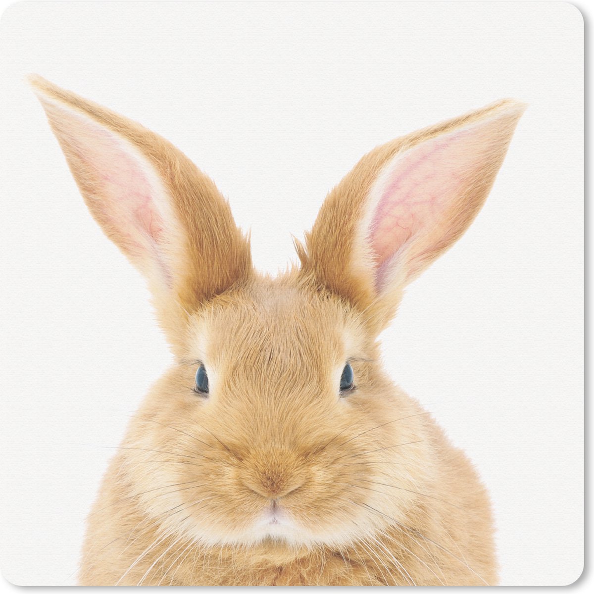 Muismat 30x30 cm - Mousepad Kinderen - Konijn - Kind - Meisjes - Jongens - Muismatten