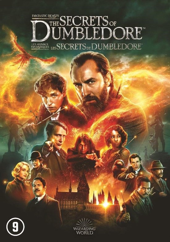 Fantastic Beasts - The Secrets Of Dumbledore (DVD)