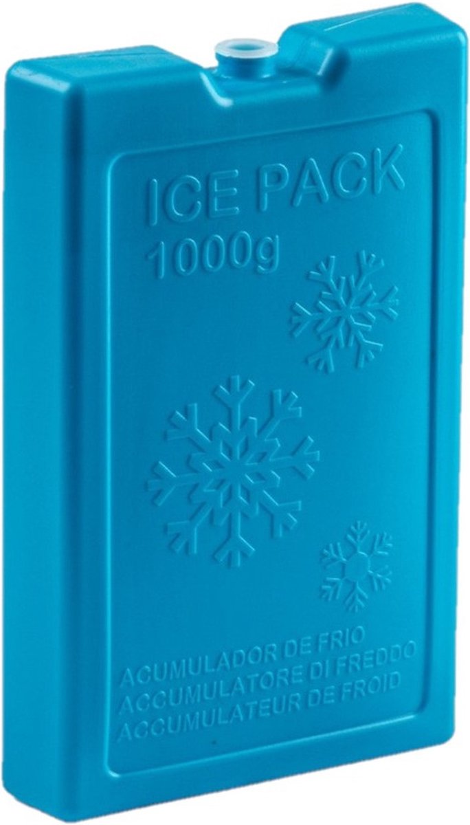 Plasticforte Koelelementen van 1000 gram - 8x stuks - blauw - 22 x 14.5 x 3.5 cm - voor koeltas en koelbox van PlasticForte — afbeelding 2