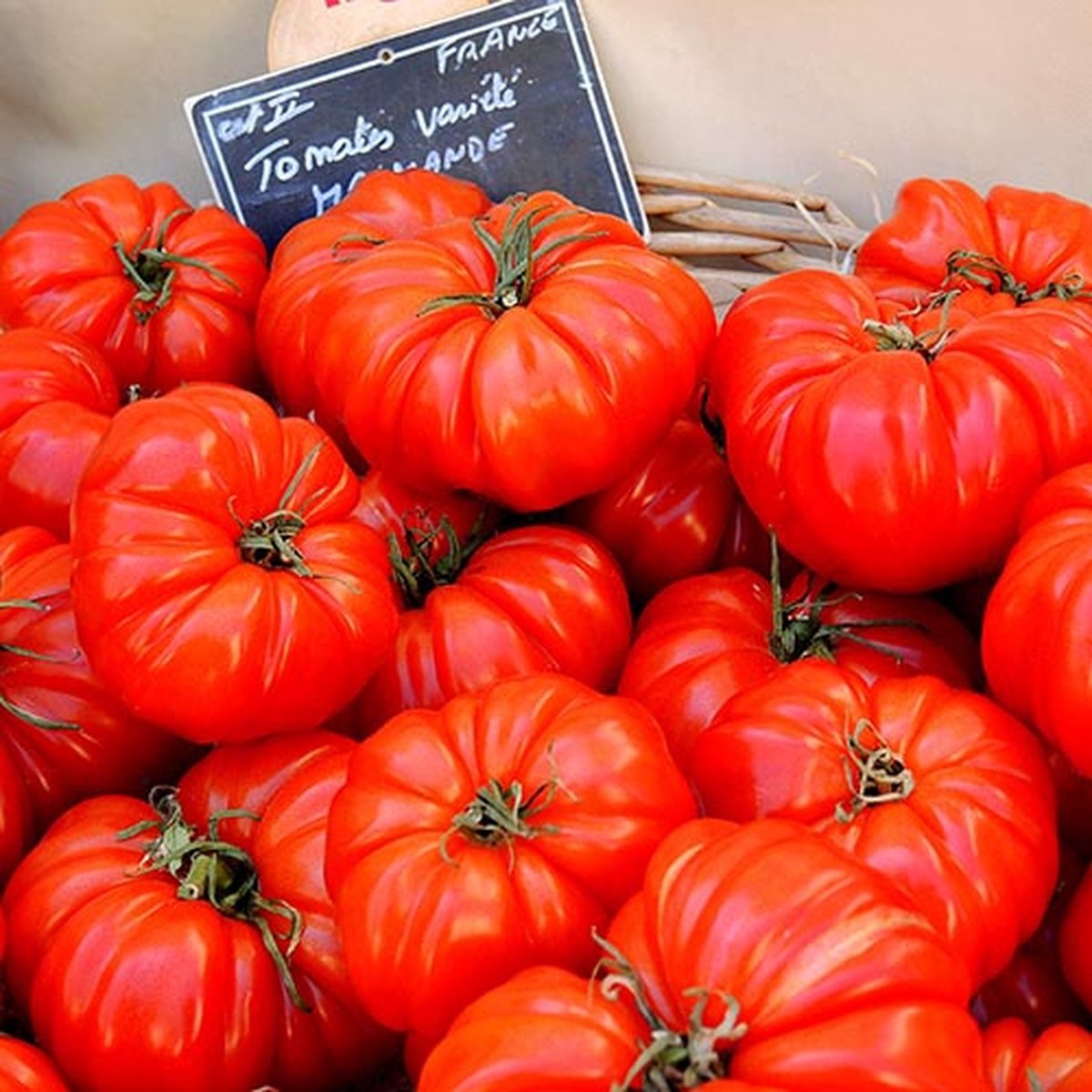 Tomaten zaden - Vleestomaat Marmande