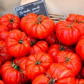 Tomaten zaden - Vleestomaat Marmande