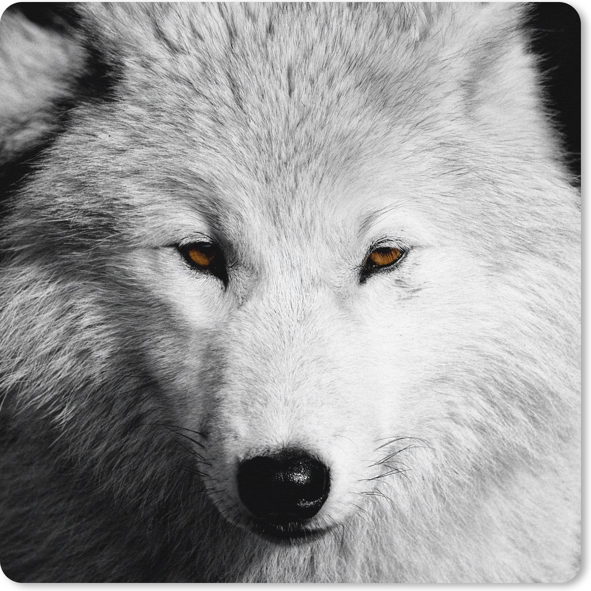Muismat XXL 80x80 cm - Bureau onderlegger - Bureau mat Dichtbij weergeven wolf in zwart-wit - Bureaumat - Gaming mousepad xl - Bureaulegger groot - Computer deskmat