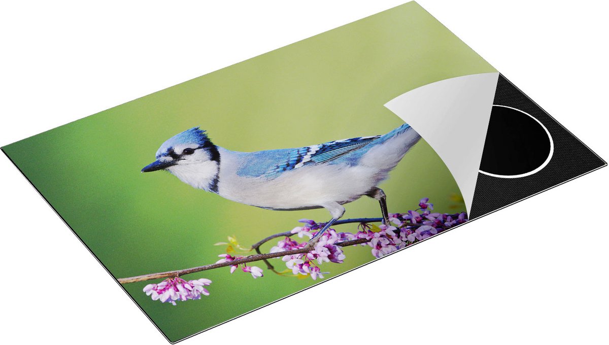 Chefcare Inductie Beschermer Blauwe Gaai Vogel op een Tak - Kleur - 80,2x52,2 cm - Afdekplaat Inductie - Kookplaat Beschermer - Inductie Mat