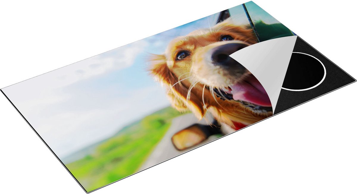 Chefcare Inductie Beschermer Golden Retriever Hond uit een Auto Raam - 95x55 cm - Afdekplaat Inductie - Kookplaat Beschermer - Inductie Mat
