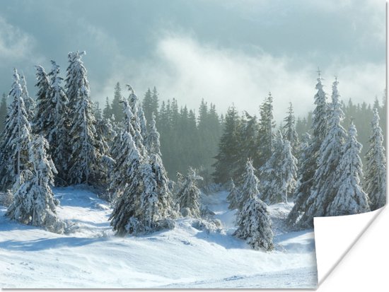 Poster Bos - Sneeuw - Winter - 120x90 cm - Kerstmis Decoratie - Kerstversiering - Kerstdecoratie Woonkamer - Kerstversiering - Kerstdecoratie voor binnen - Kerstmis