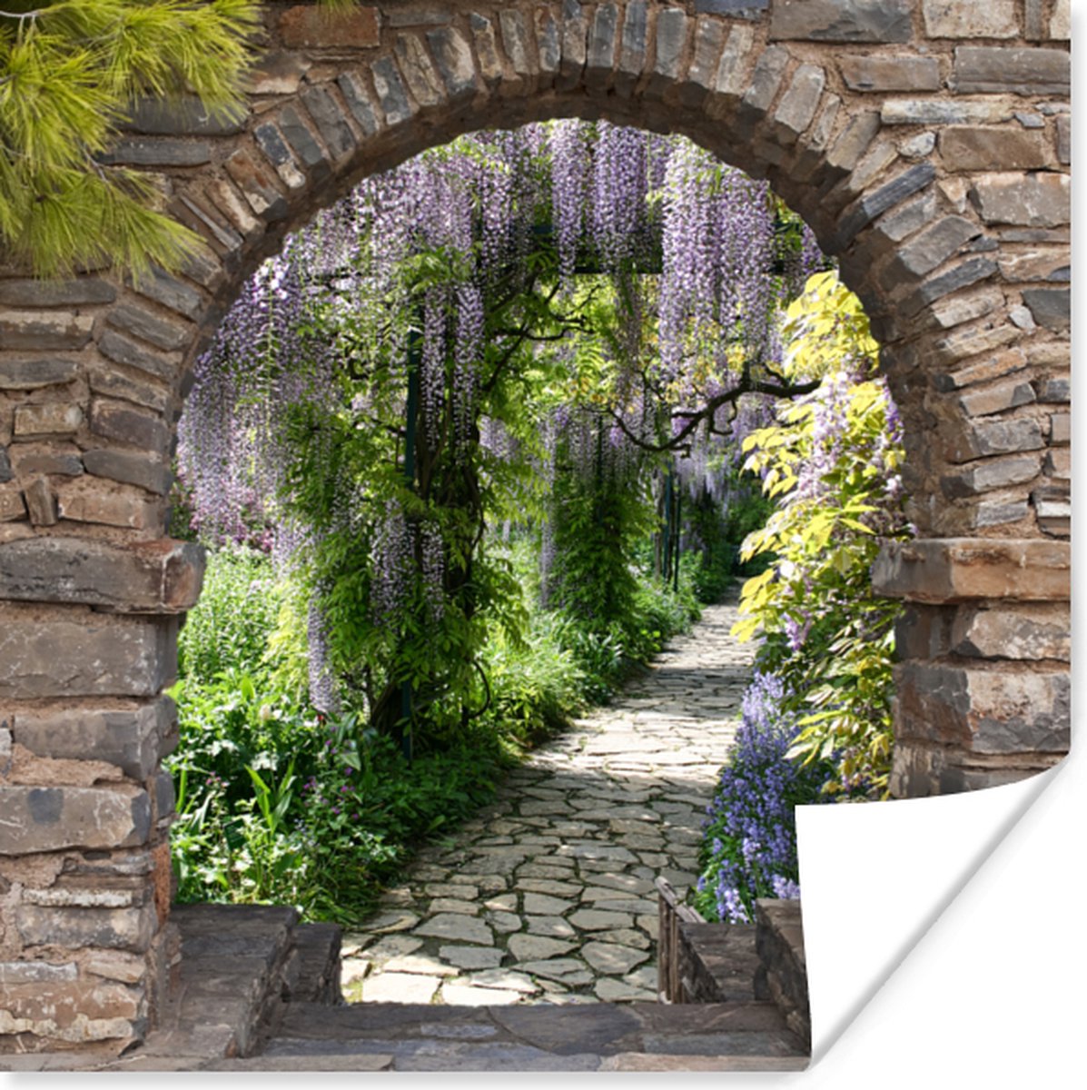 Poster Bos - Doorkijk - Stenen - Pad - 50x50 cm
