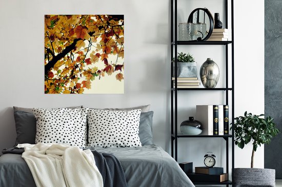 Poster Arbres - Feuilles d'automne - Nature - 75x75 cm