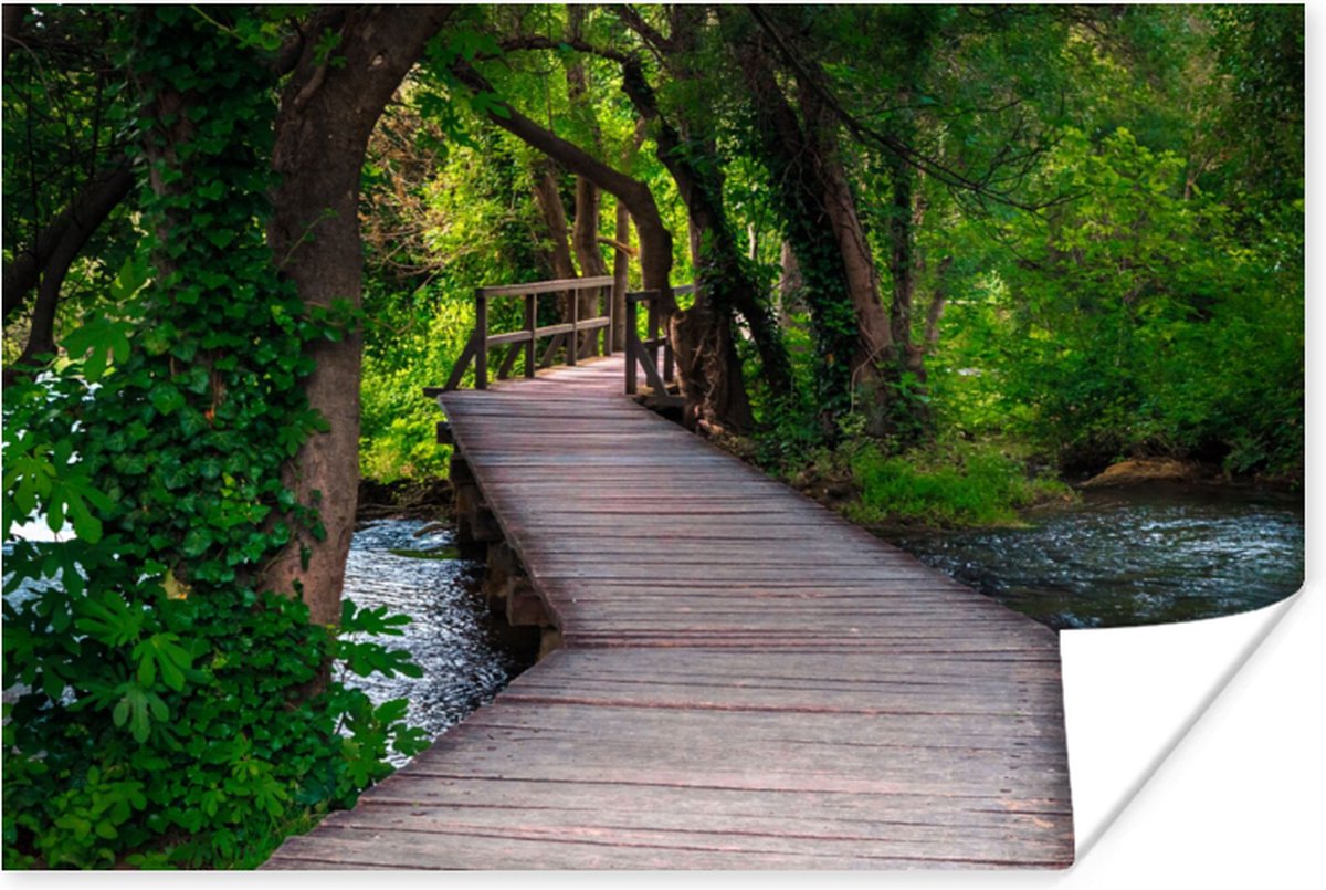 Poster Bos - Natuur - Brug - 60x40 cm