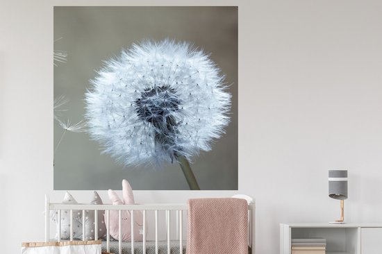 Stickers muraux - Pissenlit - Bloem - Plante - 120x120 cm - Feuille adhésive XXL