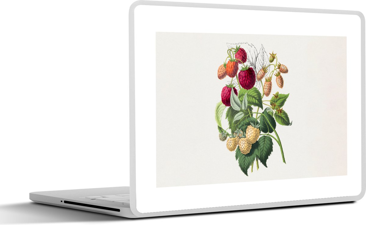 Laptop sticker - 13.3 inch - Aardbei - Fruit - Vintage - 31x22,5cm - Laptopstickers - Laptop skin - Cover
