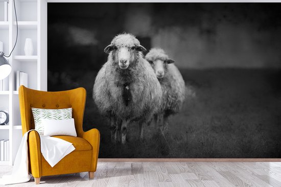 Papier peint photo peint vinyle - Mouton avec cloche largeur 600 cm x hauteur 400 cm - Tirage photo sur papier peint (disponible en 7 tailles)