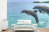 Behang - Fotobehang Dolfijnen voor de Baai-eilanden - Breedte 600 cm x hoogte 400 cm
