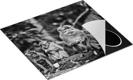 Chefcare Inductie Beschermer Groep Apen Eten Bananen in het Bos - Zwart Wit - 59x52 cm - Afdekplaat Inductie - Kookplaat Beschermer - Inductie Mat