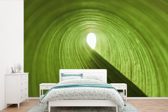 Papier peint photo peint photo vinyle - Feuille enroulée largeur 450 cm x hauteur 300 cm - Tirage photo sur papier peint (disponible en 7 tailles)