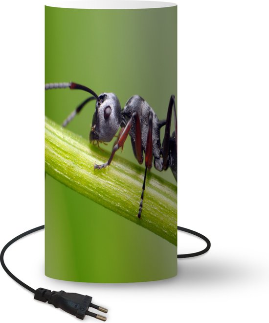 Roux steen Ellendig Lamp Insecten van Dichtbij - Close-up mier op stengel - 33 cm hoog - Ø16 cm  -... | bol.com