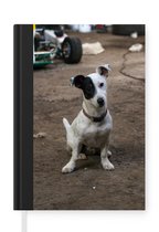 Notitieboek - Schrijfboek - Jack Russel hond die zijn hoofd schuin houdt - Notitieboekje klein - A5 formaat - Schrijfblok