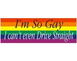 GoedeDoelen.Shop | Auto Sticker I'm So Gay | Autosticker | LGBTQ Sticker | Gay | Scootersticker | Fietssticker | Weerbestendig | Afmeting ca: 14 x 4,5 CM | LGBTQ Humor | Pride | Rainbow | Regenboog