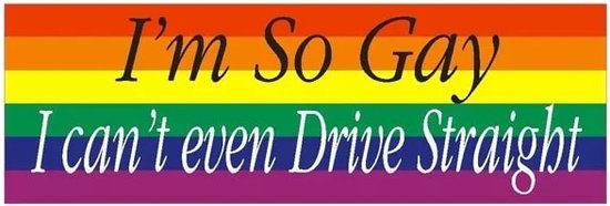 GoedeDoelen.Shop | Auto Sticker I'm So Gay | Autosticker | LGBTQ Sticker | Gay | Scootersticker | Fietssticker | Weerbestendig | Afmeting ca: 14 x 4,5 CM | LGBTQ Humor | Pride | Rainbow | Regenboog