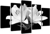 Trend24 - Canvas Schilderij - White Lelies - Vijfluik - Bloemen - 100x70x2 cm - Zwart