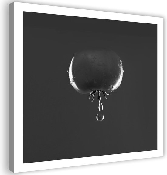 Trend24 - Canvas Schilderij - Tomaat En Druppels Water - Zwart En Wit - Schilderijen - Voedsel - 30x30x2 cm - Zwart