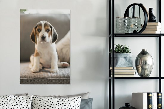 Mignon chiot Beagle assis sur le canapé Toile 40x60 cm - Tirage photo sur toile (Décoration murale salon / chambre) / Peintures sur toile pour Animaux domestiques
