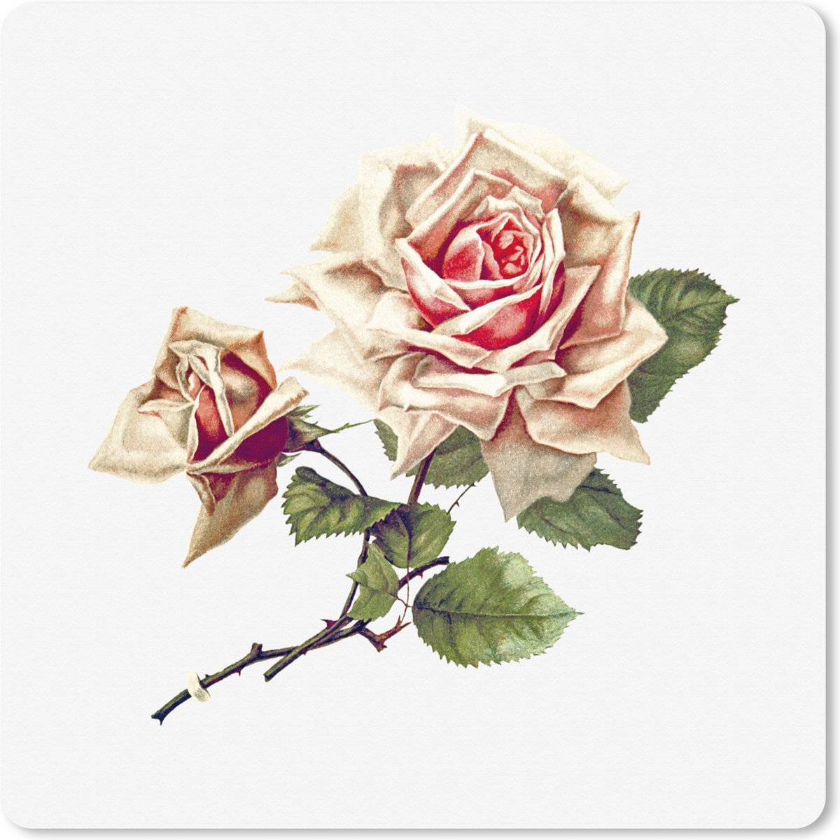 Muismat XXL 40x40 cm - Bureau onderlegger - Bureau mat Vintage - Rozen - Bloemen - Bureaumat - Gaming mousepad xl - Bureaulegger groot - Computer deskmat