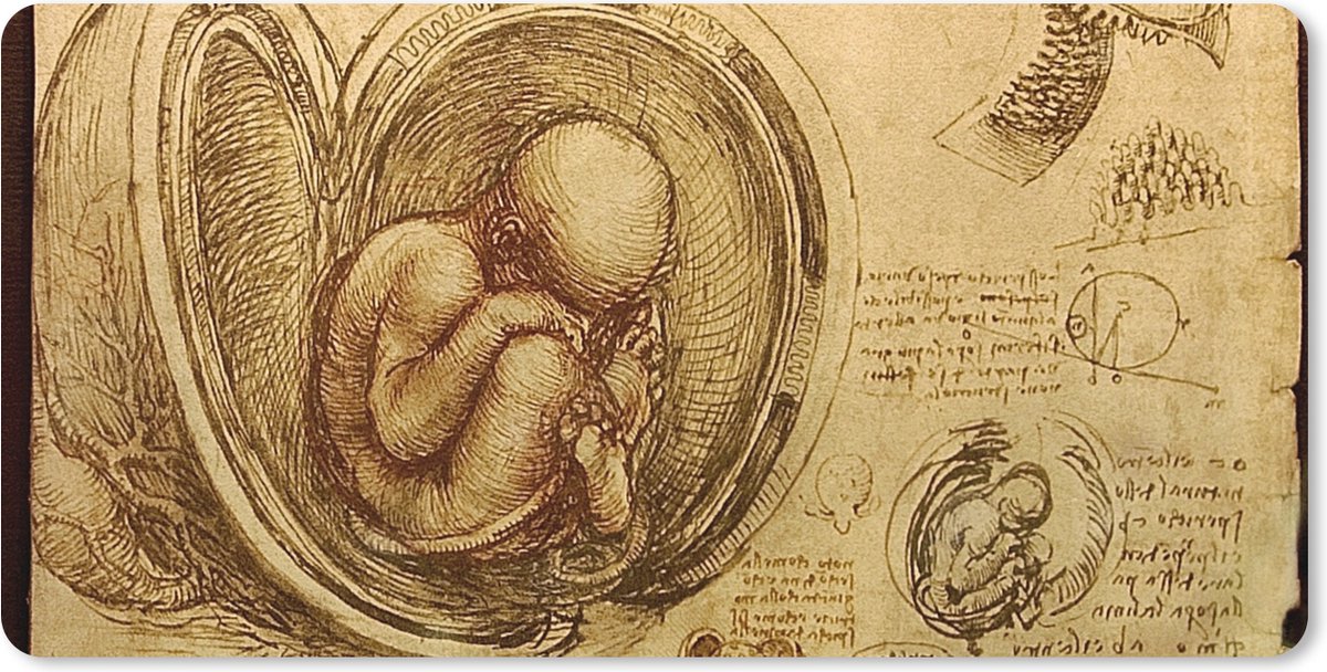 Muismat XXL 100x50 cm - Bureau onderlegger - Bureau mat Baby in the womb - Leonardo da Vinci - Bureaumat - Gaming mousepad xl - Bureaulegger groot - Computer deskmat