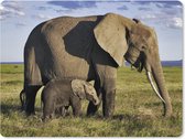 Muismat XXL - Bureau onderlegger - Bureau mat - Olifant - Dieren - Grasvlakte - Groen - Grijs - 80x60 cm - XXL muismat